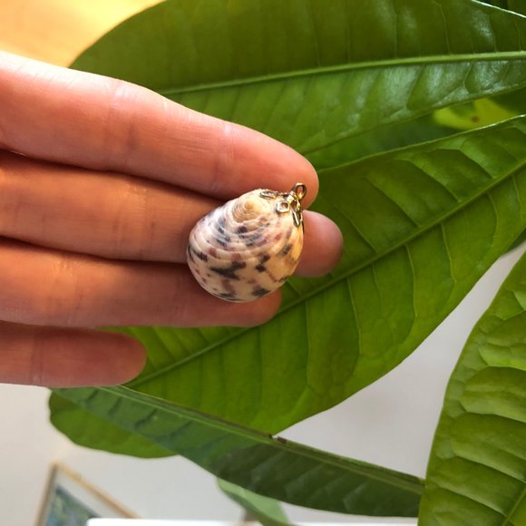 Seashell Pendant Necklace with Gold Fascinator - Picture 1 of 5